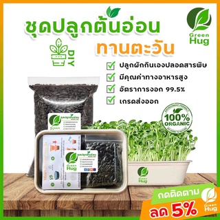 ชุดปลูกต้นอ่อนทานตะวัน Organic ( Sunflower Sprout Kit - Organic ) GREENHUG เมล็ดต้นอ่อน