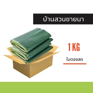 ใบตองสด ใบกล้วยน้ำว้า 1 กิโล จากสวนปลอดสารพิษ ใช้ห่อขนม ทำกระทง