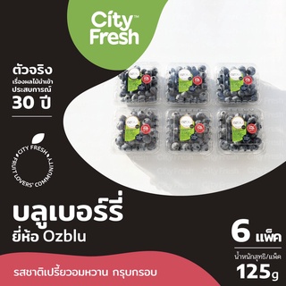 CityFresh บลูเบอร์รี่ เกรดพรีเมี่ยม Blueberry OZblu (ออซบลู) ผลไม้นำเข้า