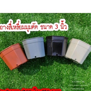 กระถางสี่เหลี่ยมมมุมตัด 3 นิ้วขาย 50ใบ/100 ใบ