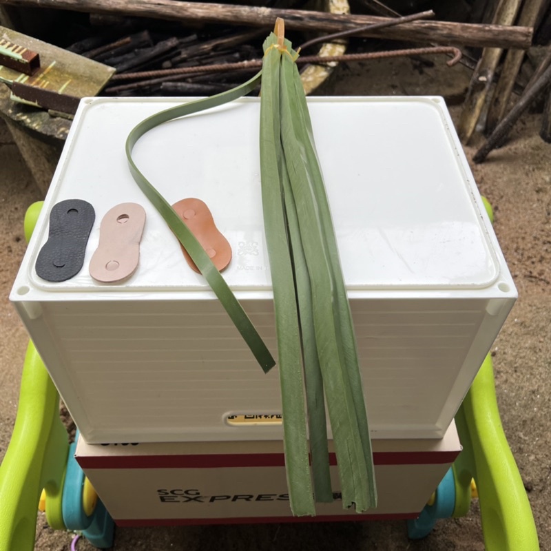 รูปภาพ 8