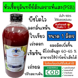 หัวเชื้อจุลินทรีย์สังเคราะห์แสง จุลินทรีย์สังเคราะห์แสง 1 ลิตร (PSB) สูตรเข้มข้น สะอาด เพิ่มธาตุอาหาร