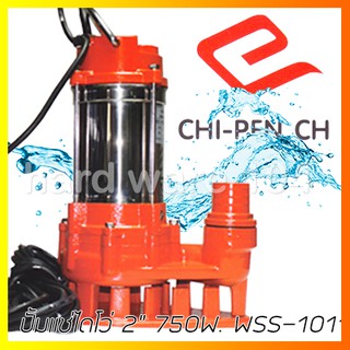 ปั้มแช่ไดโว่ 2" CHIPEN  WSS-1011 submersible pump สแตนเลส ดูดโคลน