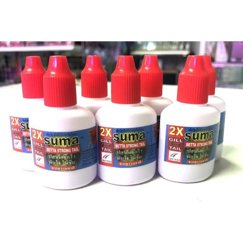 ซูม่า(SUMA) ฝาแดง ดูแลปลากัด