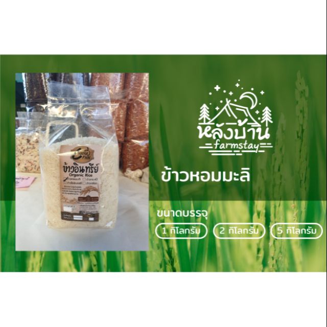 ข้าวขาวหอมมะลิ   105