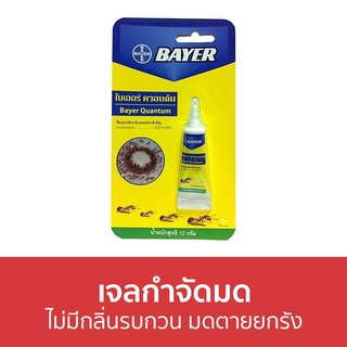 🔥แพ็ค3🔥 เจลกำจัดมด Bayer ไม่มีกลิ่นรบกวน มดตายยกรัง Quantum - กําจัดมด ยากําจัดมด กําจัดมดตายยกรัง เหยื่อกำจัดมด