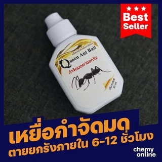 เหยื่อกำจัดมด Queen ant Bait ปลอดภัยกับคน ฆ่ามดยกรัง อาหารมด เจลกำจัดมด ฆ่ามดทั้งรัง(ขนาดบรรจุ 30 กรัม)
