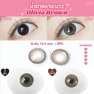 คอนแทคเลนส์ คอนแทคเลนส์รายเดือน Mini Lens รุ่น  Olivia Brown น้ำตาลชามะนาว