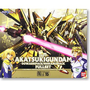 TTW Shop Akatsuki Gundam (1/100)