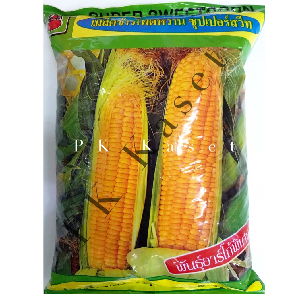 เมล็ดข้าวโพด ซูปเปอร์ สวีท พันธุ์อาร์โก้พิเศษ 1 kg