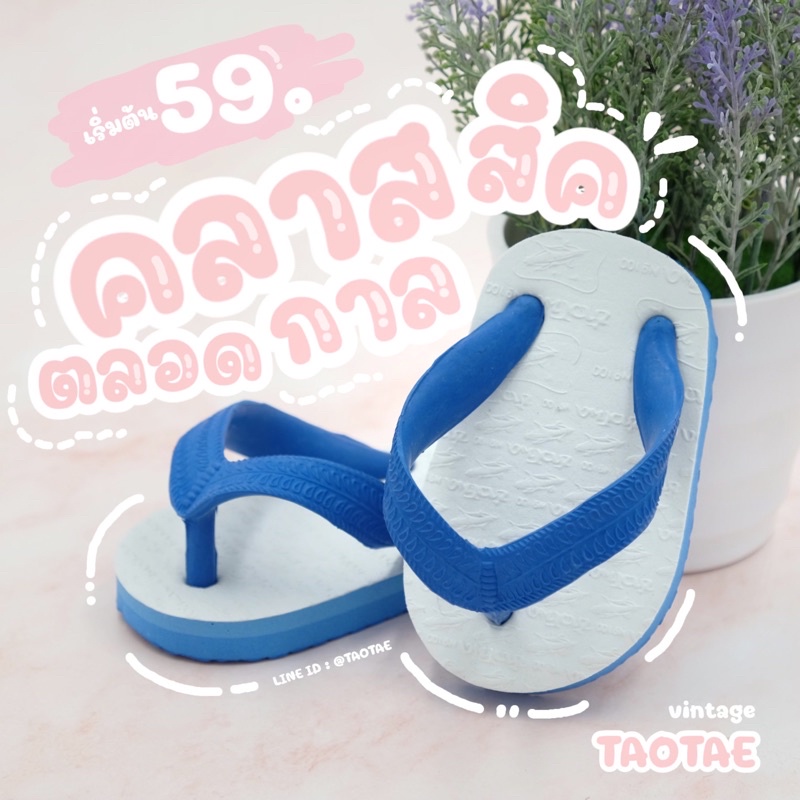 รองเท้าแตะเด็ก taotae สไตล์ช้างดาว