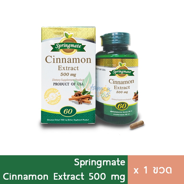 Springmate Cinnamon Extract อบเชย 60 แคปซูล