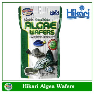 Hikari Algae Wafer  อาหารสำหรับปลาที่หากินตามพื้นตู้ 250 g.