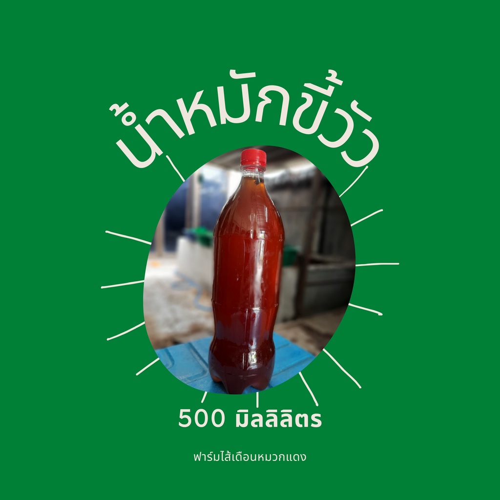 น้ำหมักขี้วัว น้ำหมักขี้วัวนม น้ำหมัก ปุ๋ยน้ำ อาหารเสริมต้นไม้ ขี้วัวนมหมัก