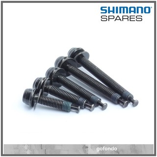 Shimano สลักเกลียวคาลิปเปอร์ Type C สําหรับเมาท์แบน