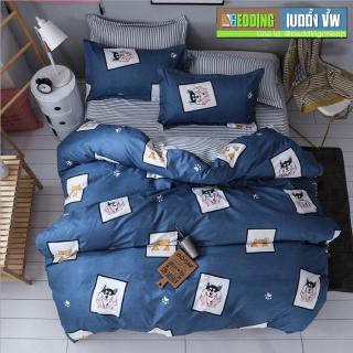 Bedding Cheap ผ้าปูที่นอน ชุดผ้านวม 6 ฟุต 6 ชิ้น Best Hitz Rainy Collection 2019 Vol.4edding Cheap ผ้าปูที่นอน ชุดผ้านวม