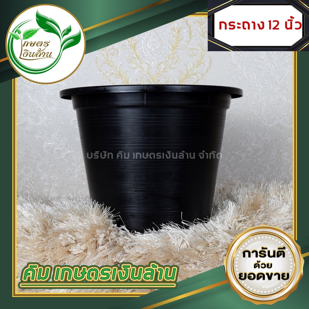 [แตกเคลมทันที] กระถางกลมดำ 12นิ้ว อย่างดี By.คิม เกษตรเงินล้าน