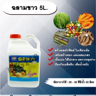 ฉลามขาว 5L. ธาตุอาหารเสริม ฮอร์โมนพืชสร้างคลอโรฟิลด์ ใบเขียวเข้ม เสริมสร้างดอกผสมเกสร