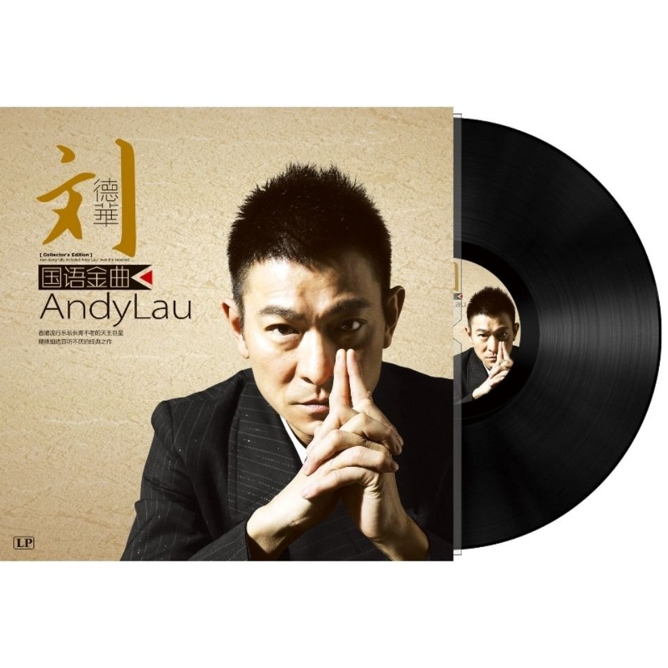 Andy Lau Mandarin Golden Melody Genuine LP Big Vinyl Selected Songs 12