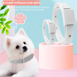พร้อมส่ง🐾ปลอกคอกำจัดเห็บ หมัด สุนัข และแมว กันน้ำได้ ปลอกคอกันเห็บ ปลอกคอกันหมัด ใช้ได้นาน8เดือน