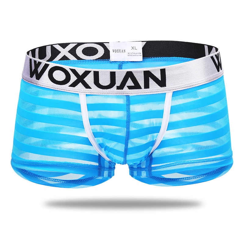 Hot Sexy Striped Men's Mesh Boxers Low Waist Ultra-thin Sexy Breathable Mens Underwear Panties #4