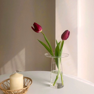 Tulip clear vase (s)