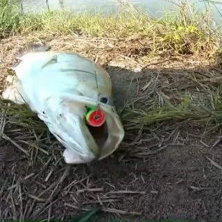 เหยื่อปลอมตกปลา​ป็อปเปอร์​ UNC LURE 3ขนาด​ VP-0018