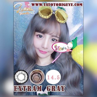 Extram Gray TATOTO Contact Lenses บิ๊กอาย #313