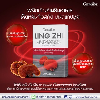 🔥ส่งฟรี!🔥LING ZHI MUSHROOM GIFFARINE เห็ดหลินจือสกัด  กิฟฟารีน ชนิดแคปซูล สมุนไพรเห็ดหลินจือแดง