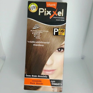 น้ำยาย้อมผมสีบรอนด์เข้ม Dark Blonde P06