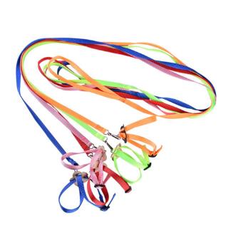 yoodada Portable Parrot Tow Rope Small Animal Turtle Chick Reins 8-shaped Animal Packing Belt