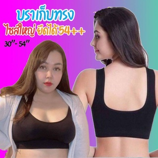 HADLEE TRIANGLE BRA โลลิต้า [Sport Bra] สปอร์ตบราไซส์ใหญ่  สาวอวบใส่ได้ สปอตบรา เสื้อชั้นในคนอ้วน ชุดชั้นในคนอ้วน  สปอร์