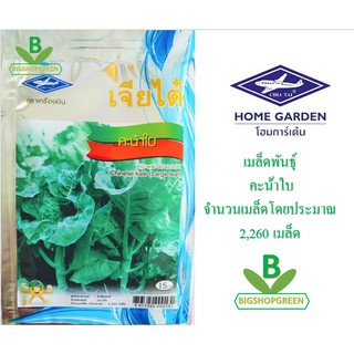 5 ฟรี 1 คละได้ เมล็ดพันธุ์ผัก คะน้าใบ (Chinese kale  Large leaf)เจียไต๋  เมล็ดพันธุ์ผัก เมล็ดผัก ผักสวนครัว