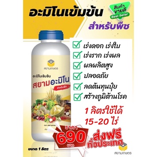 สยามอะมิโน อะมิโนพืช อาหารเสริมพืชทางใบ หัวเชื้ออะมิโน ขนาด 1 ลิตร ส่งฟรีเก็บเงินปลายทาง