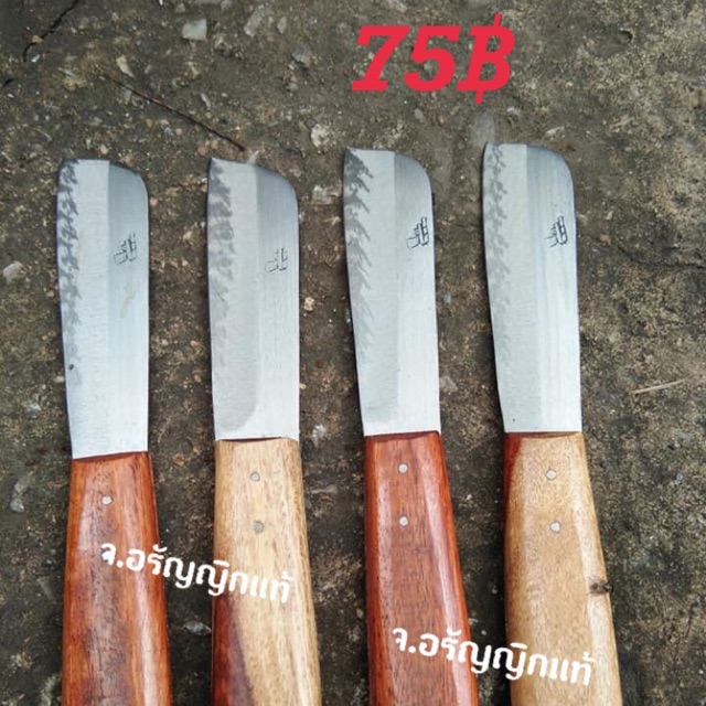 มีดอรัญญิก มีดเหล็กบาง มีดหั่นหมาก มีดซอย จ้อย อรัญญิกแท้ ဖယ်သီးကိုလှဲသည်