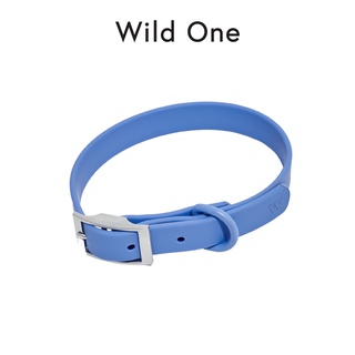 Wild One - Collar ปลอกคอสุนัข Moonstone (Limited Edition)