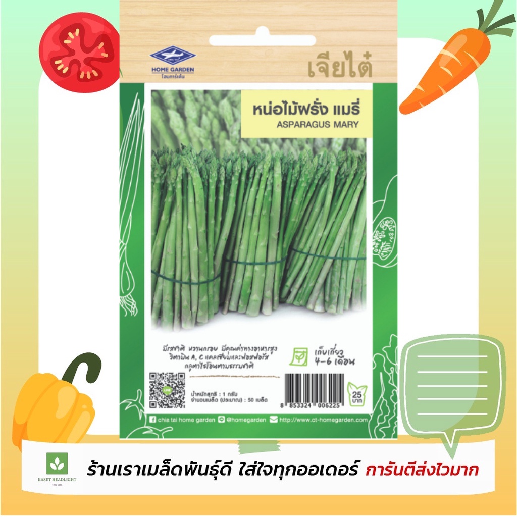หน่อไม้ฝรั่ง เมล็ดพันธุ์หน่อไม้ฝรั่ง เจียไต๋ Asparagus