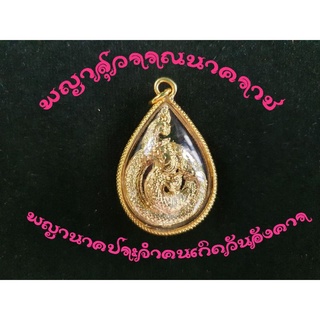 เหรียญพญาสุวรรณนาคราช ประจำคนเกิดวันอังคาร