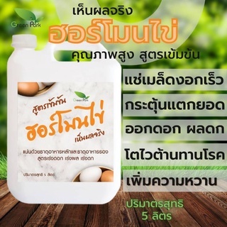 ฮอร์โมนไข่ ขนาด 5 ลิตร ตรา Green Park สูตรเข้มข้น แช่เมล็ด เร่งราก แตกยอด ตา ติดดอก ออกผล ดก ไข่ ฮอร์โมน ปุ๋ยน้ำ ชีวภาพ