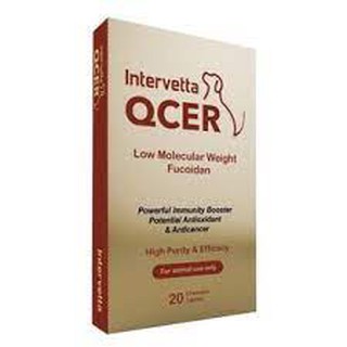 QCER อาหารเสริมต่อต้านมะเร็ง​และเสริมภูมิคุ้มกันร่างกาย สุนัข/แมว/กระต่าย บรรจุ​ 20 เม็ด (Reg No. 0108630004)