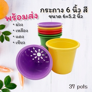 37POTS  ●ซื้อ 1 แถม 1● กระถางพลาสติกทรงสูง 6 นิ้ว สี สมุทรสาคร