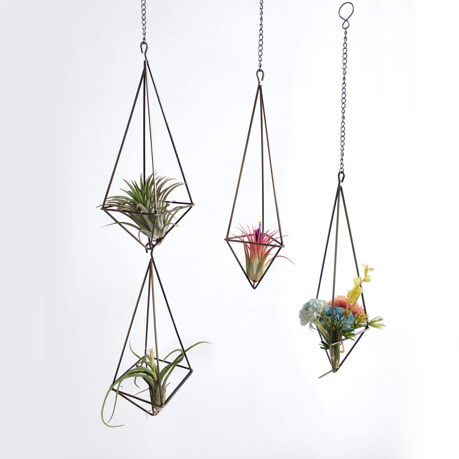 Hanging Air Plant Holder- 4 Pack, 2 Sizes Metal Air Plant Rack ...