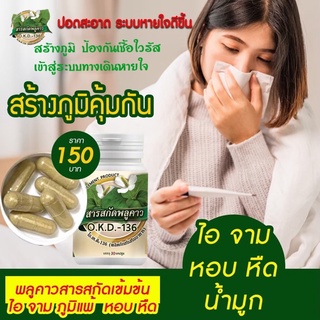 พลูคาวสกัด (คาวตอง)(สกัดแบบสเปรย์ดราย)ภูมิแพ้ ไอจาม จมูกตัน ตาบวมคันหัวตาผื่นคัน กระตุ้นระบบภูมิคุ้มกัน บำรุงปอด