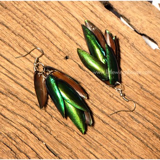 ต่างหูปีกแมลงทับ สีเขียวมรกต ของแท้ สีสันสวยสด Jewel Beetle Earrings ++