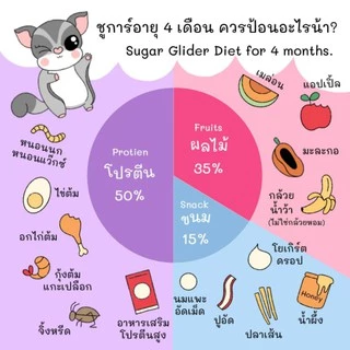 ชุดอาหารชูก้าร์สูตรโต 4เดือนขึ้นไปทดแทนซองสีเขียว สินค้าเป็นเซต ซองสีชมพู(สูตรเด็ก)และโปรตีนสูงขนาดทดลองสำหรับชูก้าร์