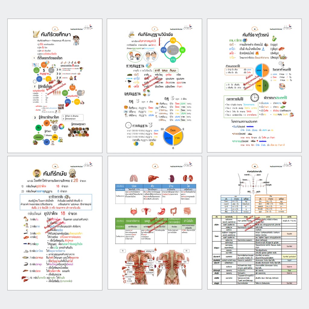 ชีทสรุปแพทย์แผนไทย(เวชกรรมไทย) - รูปที่ 2