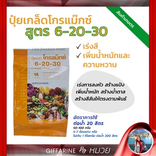 ปุ๋ยเกล็ด กิฟฟารีน ปุ๋ยโกรแม็กซ์ 6-20-30 พัฒนาคุณภาพดอก ผล หัว ดิน สวน ส่งฟรี