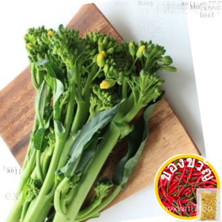 Chinese  Kailaan Chinese Brocolli 50 seeds (not live plants)เมล็ดเชีย เมล็ดกุหลาบ เมล็ดดอกไม้ เมล็ดดอกดาวเรือง เมล็ดต้นอ