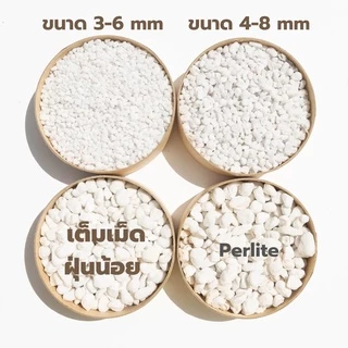 เพอร์ไลท์ (Perlite) เต็มเม็ด ฝุ่นน้อย (1ลิตร, 3ลิตร) วัสดุปลูกนำเข้าแบ่งบรรจุ