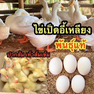 ไข่เป็ดอี้เหลียง (ไข่เชื้อสำหรับฟัก) 5ฟอง